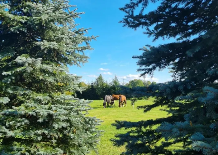 Nameliai Sventojoje 1 Apartment *